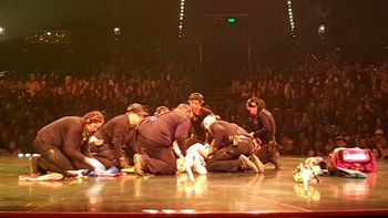video: un acrobata del cirque du soleil se cayo en plena funcion video: un acrobata del cirque du soleil se cayo en plena funcion