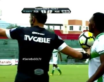 El partido tuvo que ser temporalmente suspendido hasta que pasara en enjambre