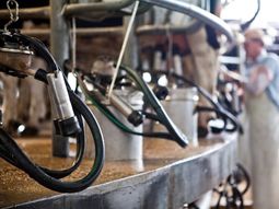 segun el nuevo pbi del indec, la economia argentina esta en recesion segun el nuevo pbi del indec, la economia argentina esta en recesion