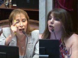 el cruce entre dos senadoras en el debate por el presupuesto: ¡callate, mamarracho! el cruce entre dos senadoras en el debate por el presupuesto: ¡callate, mamarracho!