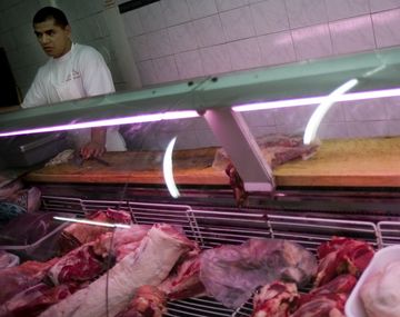 Carne - JH 7921
