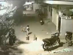 Un nene le hizo frente a una jauría para defender a su amiga Un nene le hizo frente a una jauría para defender a su amiga