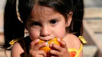 Foto ilustrativa. Foto ilustrativa.