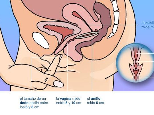 Como funciona un anticonceptivo
