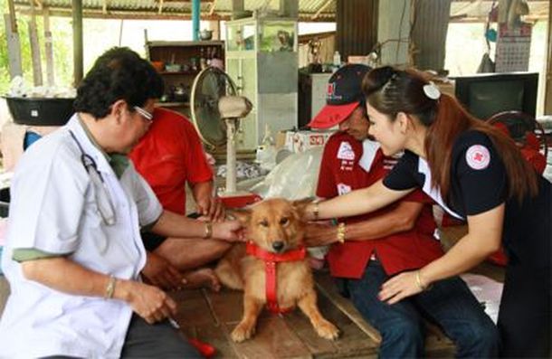 Un perro salva a un bebé que fue tirado a un basurero