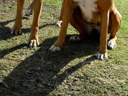 Martita y Rosita Martita y Rosita