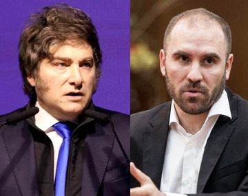 Milei elogió a un exfuncionario de Martín Guzmán y recibió una respuesta incómoda