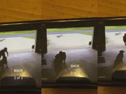 un chico se metia en la casa de su vecina solo para abrazar a su perra un chico se metia en la casa de su vecina solo para abrazar a su perra