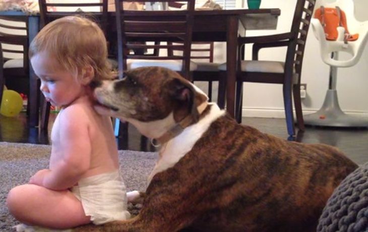VIDEO: Un adorable perro da un baño a una bebé