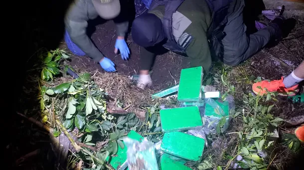 La cocaína estaba fraccionada en panes de color verde. La cocaína estaba fraccionada en panes de color verde.