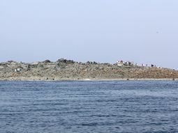 muestran las imagenes de la isla que aparecio tras un terremoto muestran las imagenes de la isla que aparecio tras un terremoto