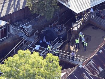 Tragedia en una montaña rusa de agua
