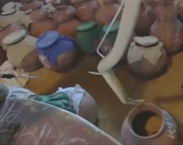 Esto pasa cuando el veneno de una cobra entra en contacto con la sangre