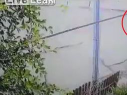 Dos perros atacan a una mujer en el medio de la calle Dos perros atacan a una mujer en el medio de la calle