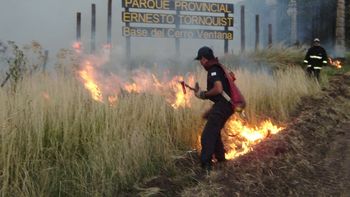 el fuego arraso con mas de 30 mil hectareas en tornquist el fuego arraso con mas de 30 mil hectareas en tornquist