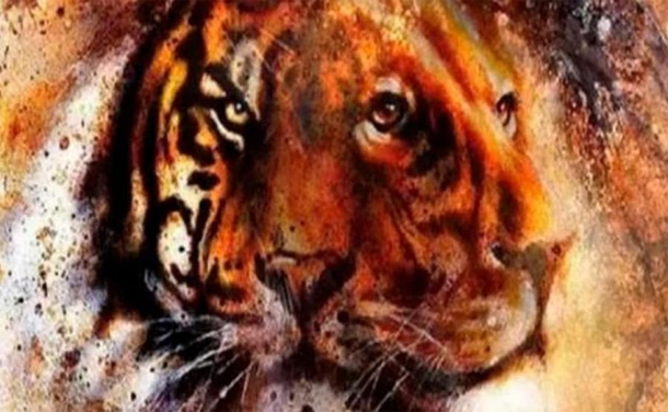 Test viral: el felino que veas primero revelará rasgos de tu personalidad