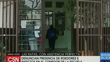padres denuncian la presencia de ratas y cucarachas en un colegio de villa urquiza padres denuncian la presencia de ratas y cucarachas en un colegio de villa urquiza