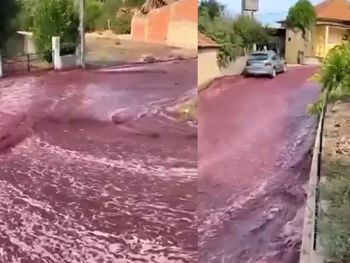 Las calles de un pueblo de Portugal se inundaron de vino