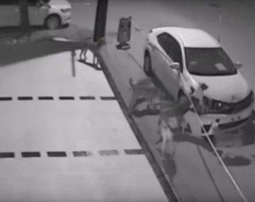 Una jauría de perros destroza un auto