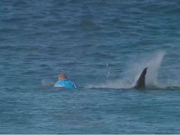 VIDEO: Mirá el feroz ataque de un tiburón a famoso surfista en una competencia