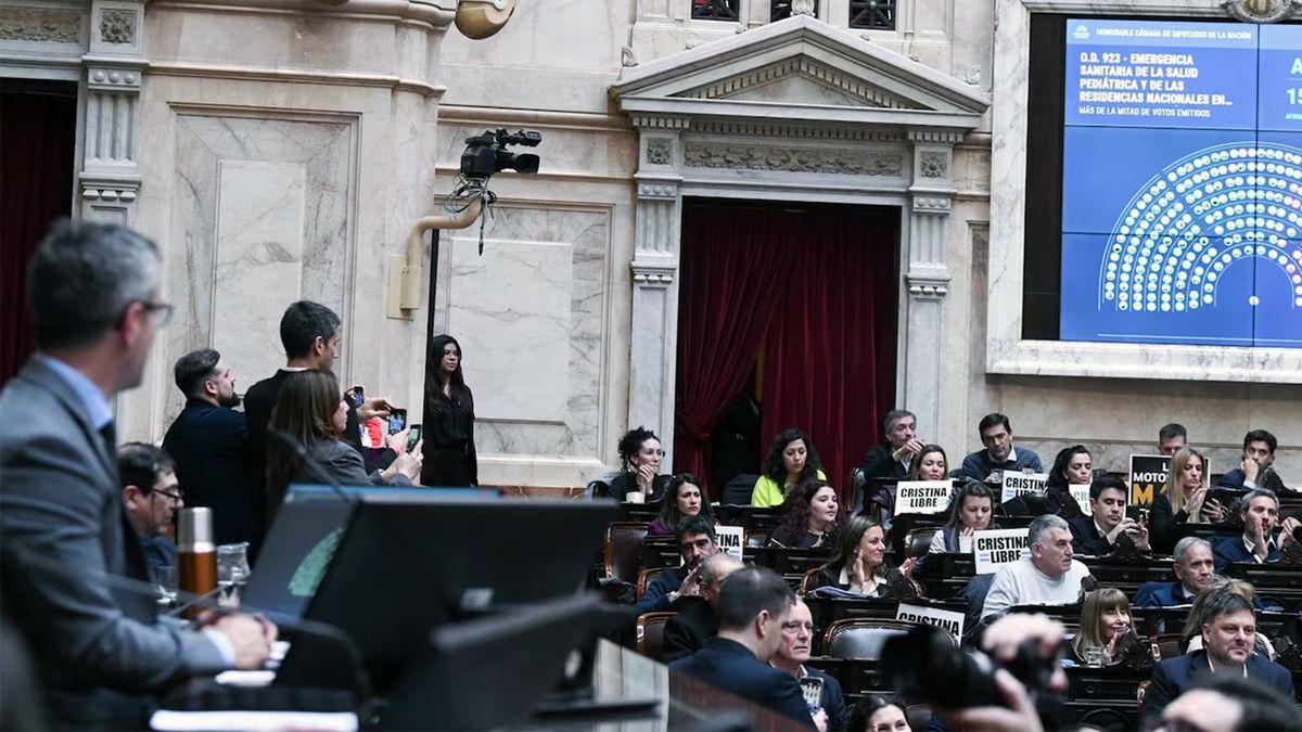 Diputados trata los rechazos a los vetos de Javier Milei