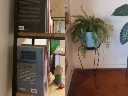 Vecinos reportaron temblores en algunos barrios porteños: cuál es el motivo