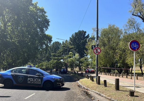 Excesos de velocidad y semáforo en rojo: los antecedentes del conductor que mató y huyó en los Bosques de Palermo
