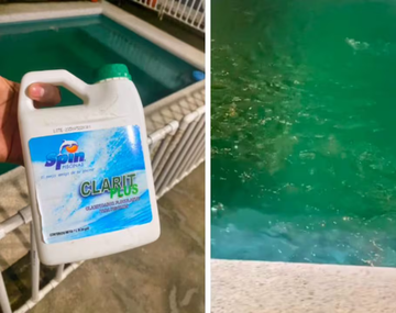 El truco casero para limpiar el agua de las piletas y que dejen de ser verde.