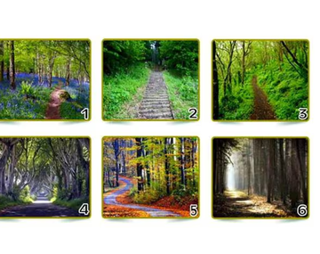 Test viral: el camino que elijas revelará cómo es tu personalidad