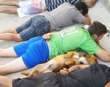 Un perro se tira al piso con su dueño durante un operativo policial