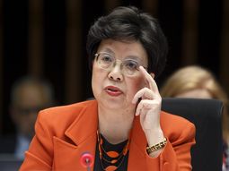 la oms llama a un comite de emergencia por el brote de zika la oms llama a un comite de emergencia por el brote de zika