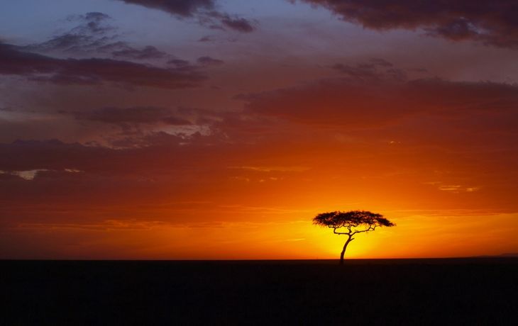 Votá cuál te parece el mejor atardecer del mundo