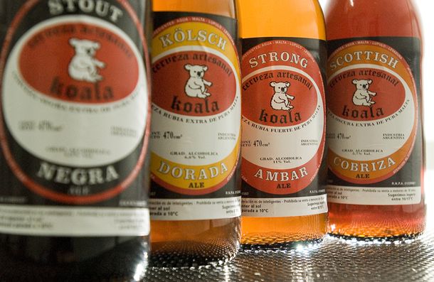 CERVEZA KOALA_029
