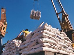 La mejora en la dinámica de los precios internacionales durante el año pasado impactó de lleno en los volúmenes colocados. La mejora en la dinámica de los precios internacionales durante el año pasado impactó de lleno en los volúmenes colocados.