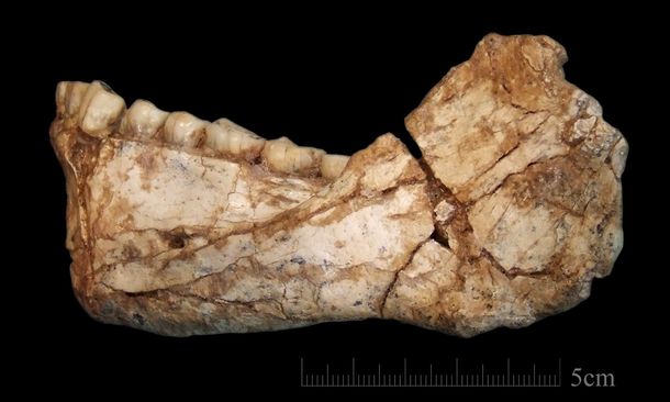 Hallaron en Marruecos los restos de Homo Sapiens más antiguos