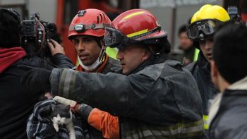 encontraron un gato sano y salvo abajo de los escombros encontraron un gato sano y salvo abajo de los escombros
