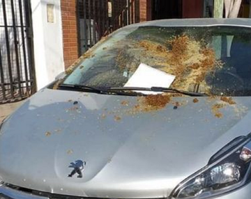 Relatos Salvajes: cansado de que estacionen frente a su garaje