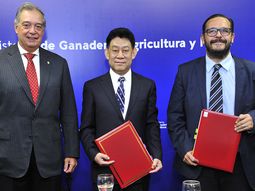 El ministro de Ganadería, Agricultura y Pesca (MGAP), Fernando Mattos, junto al viceadministrador de la Administración Nacional de Alimentos y Reservas Estratégicos de China, Jia Quian, y el subsecretario del MGAP, Juan Ignacio Buffa. El ministro de Ganadería, Agricultura y Pesca (MGAP), Fernando Mattos, junto al viceadministrador de la Administración Nacional de Alimentos y Reservas Estratégicos de China, Jia Quian, y el subsecretario del MGAP, Juan Ignacio Buffa.