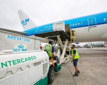 El Gobierno echó a 15 trabajadores de Intercargo tras el paro del miércoles