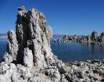 Mono Lake, un ambiente hostil para la vida donde sin embargo se desarrolla el&nbsp;Auanema sp