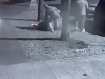 Violento robo a una mujer mientras paseaba a su perrito