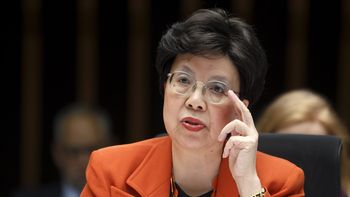 la oms llama a un comite de emergencia por el brote de zika la oms llama a un comite de emergencia por el brote de zika