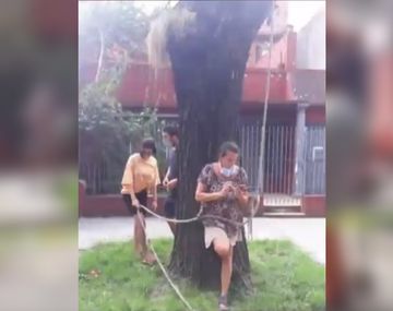 El Gobierno de la Ciudad intentó talar un árbol y una mujer se encadenó para evitarlo