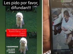 Desesperado pedido de una familia: secuestraron a Coco