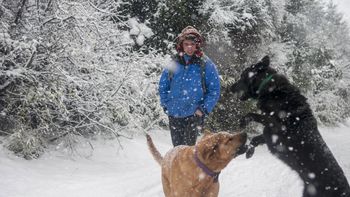 el turismo crecio un 10% en esta temporada invernal el turismo crecio un 10% en esta temporada invernal