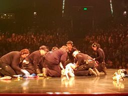 video: un acrobata del cirque du soleil se cayo en plena funcion video: un acrobata del cirque du soleil se cayo en plena funcion