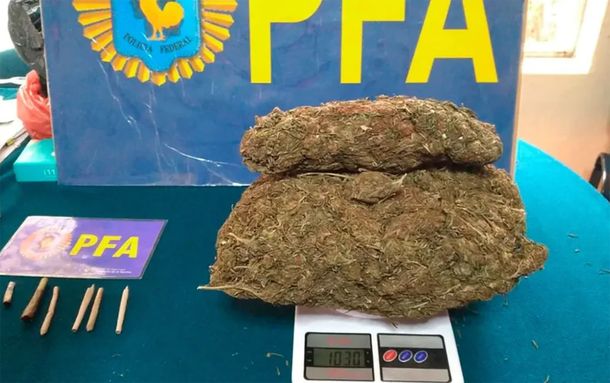 Alumnos cultivaban marihuana en las instalaciones de una escuela de 25 de Mayo