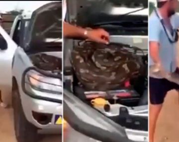 VIDEO: Escuchó un ruido