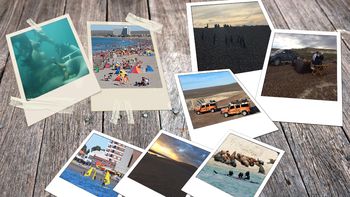 A 1300 kilómetros de Capital, Madryn ofrece un sinfín de actividades A 1300 kilómetros de Capital, Madryn ofrece un sinfín de actividades