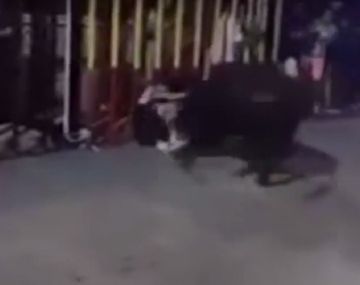 La impactante corneada que sufrió adolescente